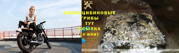 мдпв Кулебаки