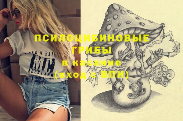 ешки Куйбышев