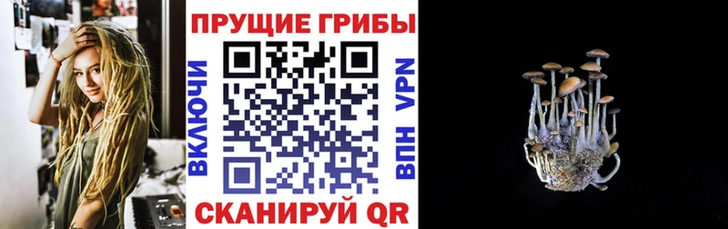 Галлюциногенные грибы мицелий Купить где Красный Сулин